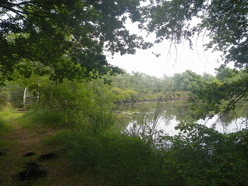 Camping le Pontis - image n°44 - UniversalBooking