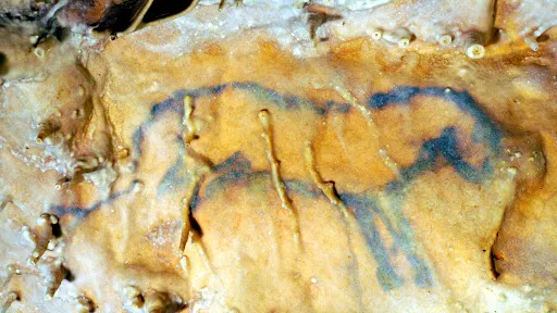 Camping le Pontis - image n°32 - UniversalBooking