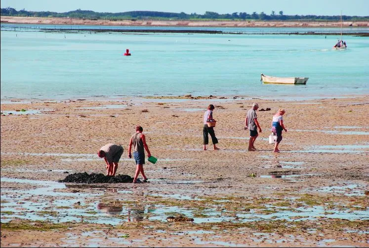 Camping de La Falaise