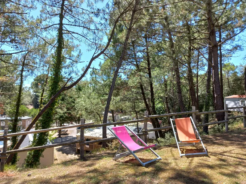 Camping Parfums d'été