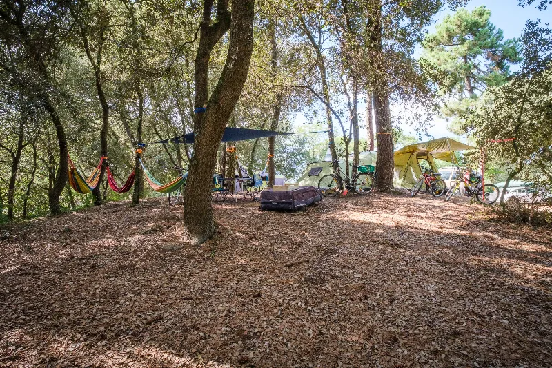 Camping Parfums d'été