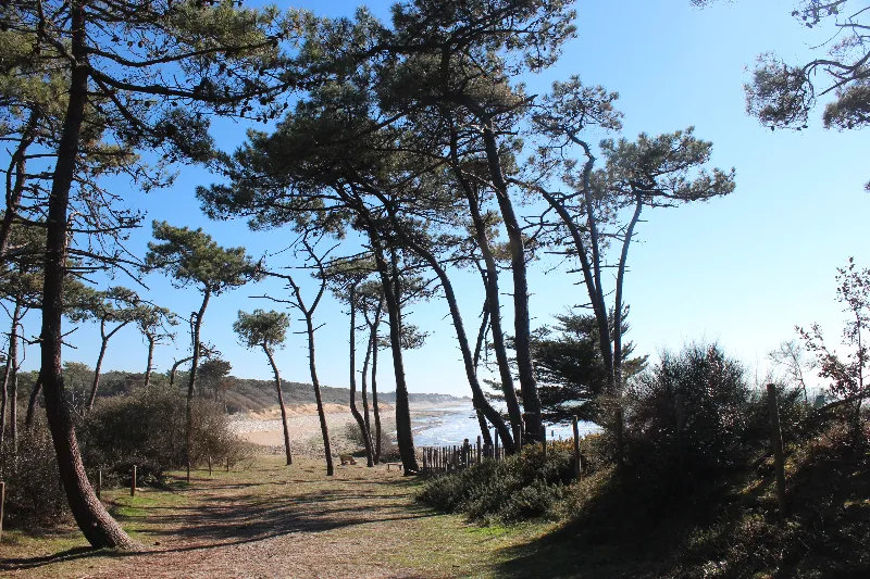 Camping Parfums d'été