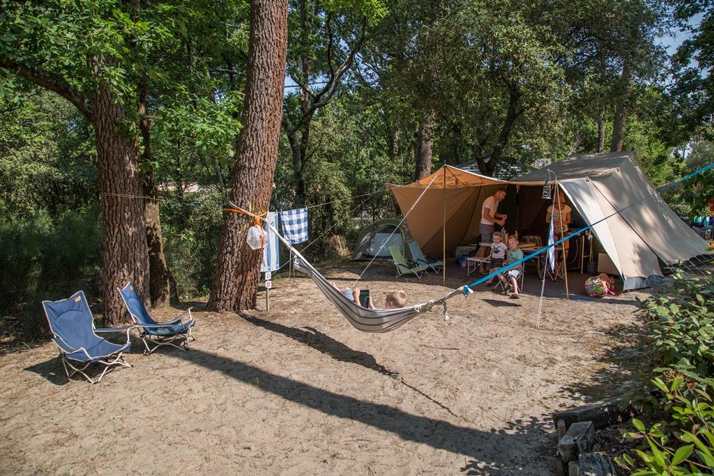 Emplacement - Forfait Confort + (1 Tente Ou Caravane / Électricité 6A) - Camping Des Pins