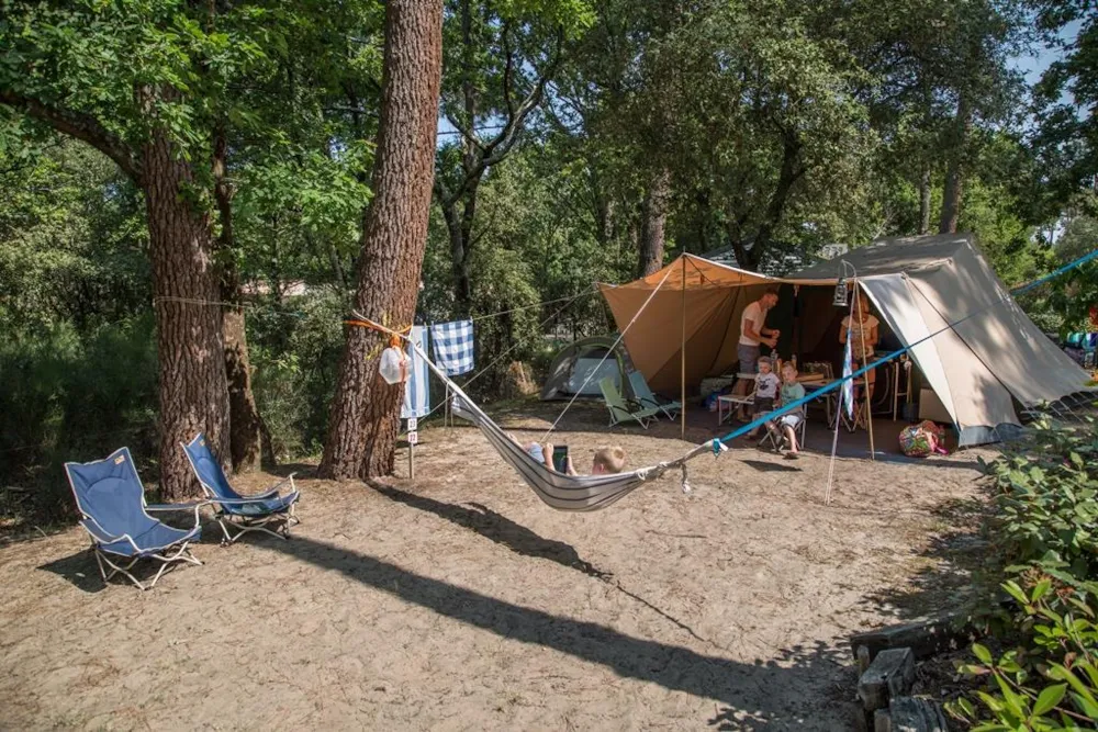 Basisprijs  CONFORT  +plaats (1 tent, caravan of camper / elektriciteit 6A)