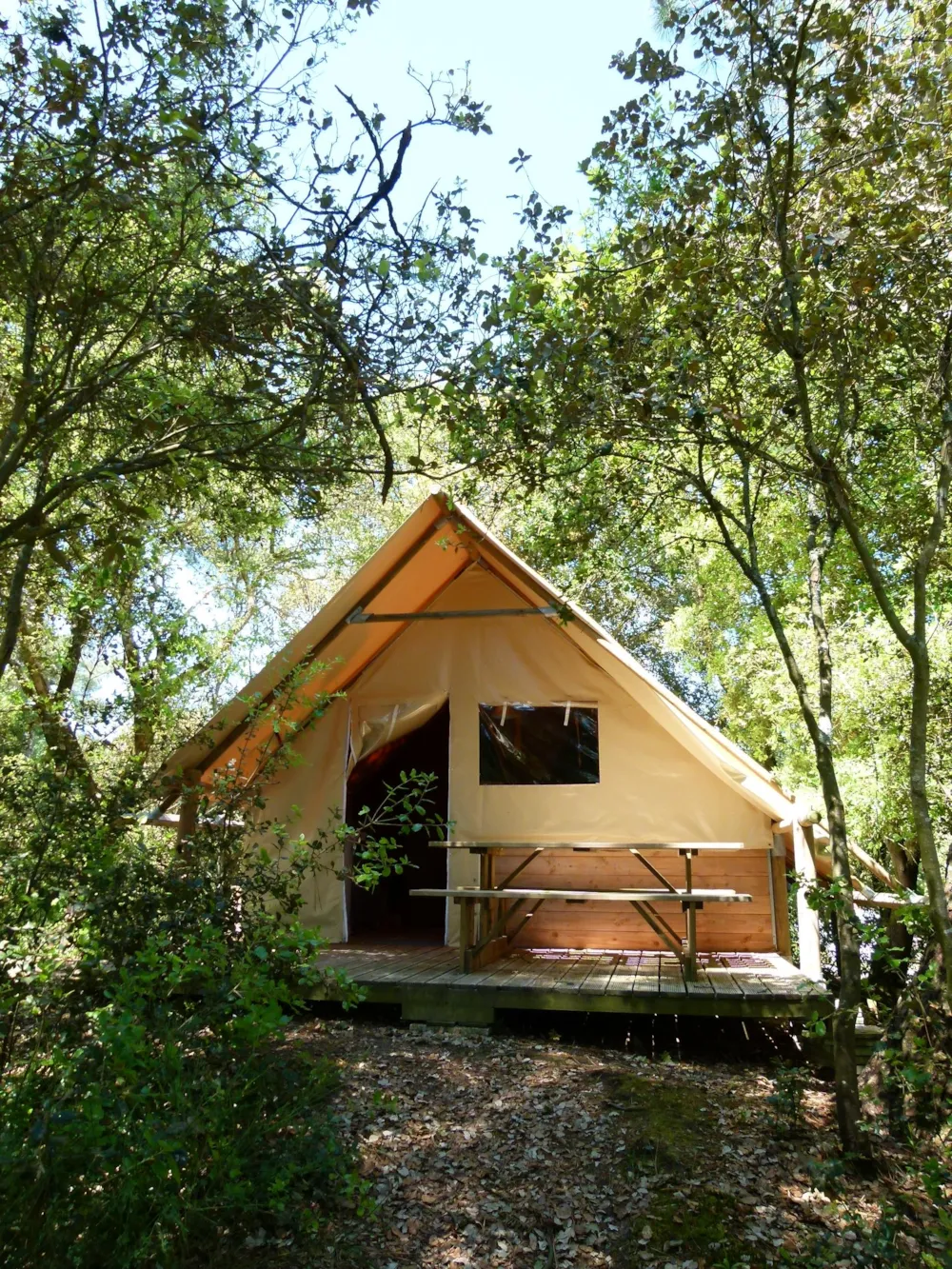 Mietunterkunft - Hütte Im Bolz Amazone - 2 Zimmer - Ohne Sanitärausstattung Terrasse - 24 M² - Camping Paradis des Pins - Soulac