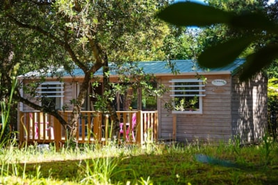 Mobil-home PREMIUM 2 Bedrooms - 2 bathrooms and half covered terrace - 33 m²