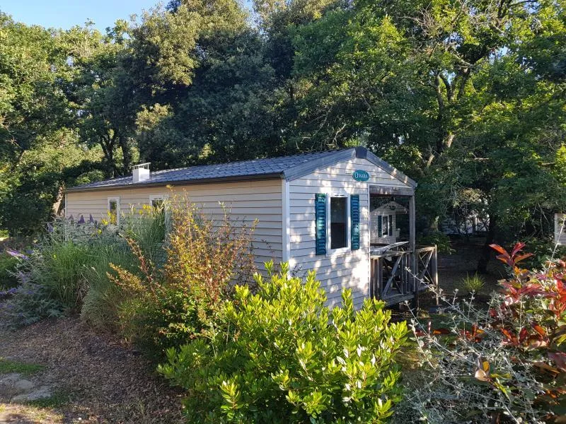 Mobil-Home Confort+ 2 Chambres & Terrasse Couverte - 32 M²