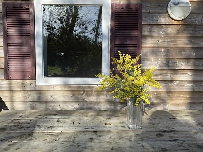 Mobil-Home Eden + 3 Chambres & Terrasse Découverte - 34 M² - Lave Vaisselle