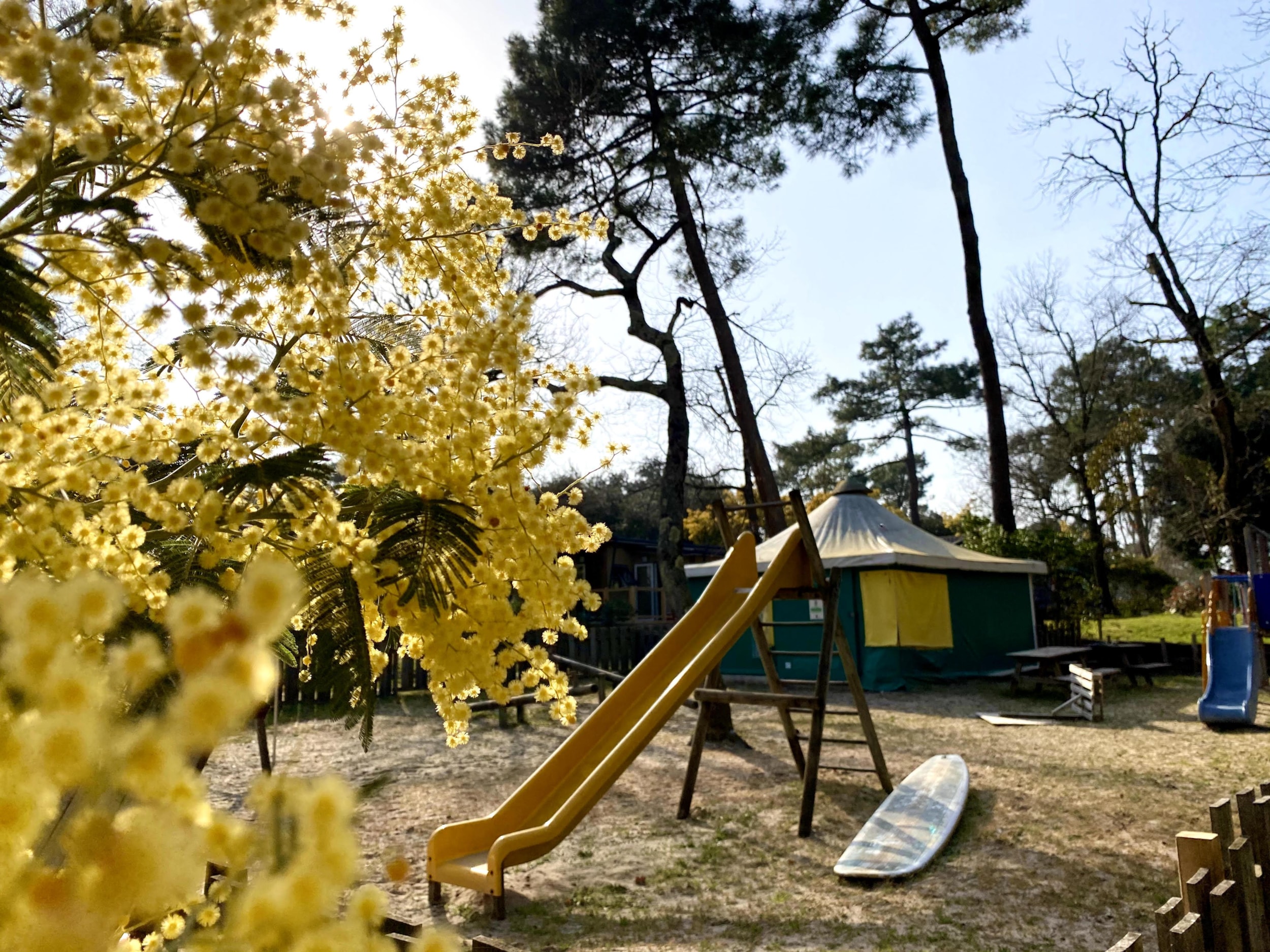 Nicoll's Camp/Pins — Photo 6