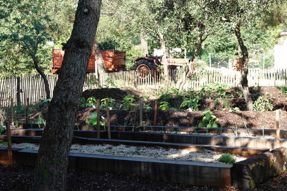 Camping des Pins - Soulac