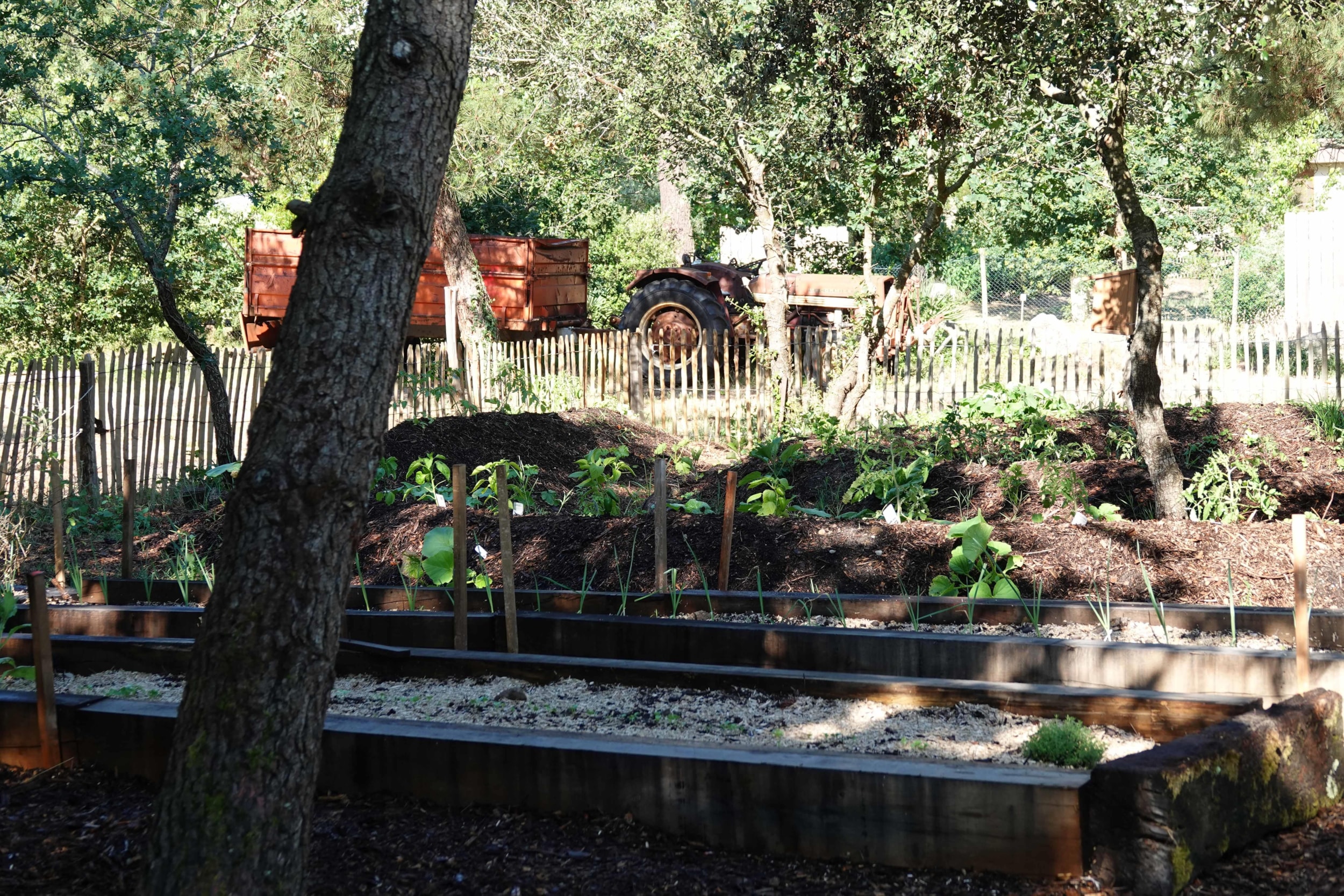 Nicoll's Camp/Pins — Photo 5
