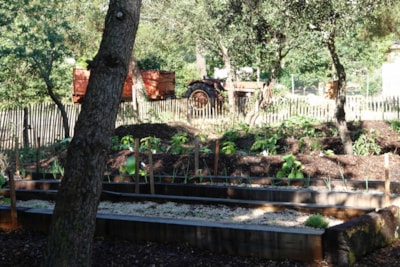 Nicoll's Camp/Pins