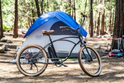 Kampeerplaats(en) - Basisprijs Confort  Plaats (1 Tent, Caravan) - Camping Paradis des Pins - Soulac