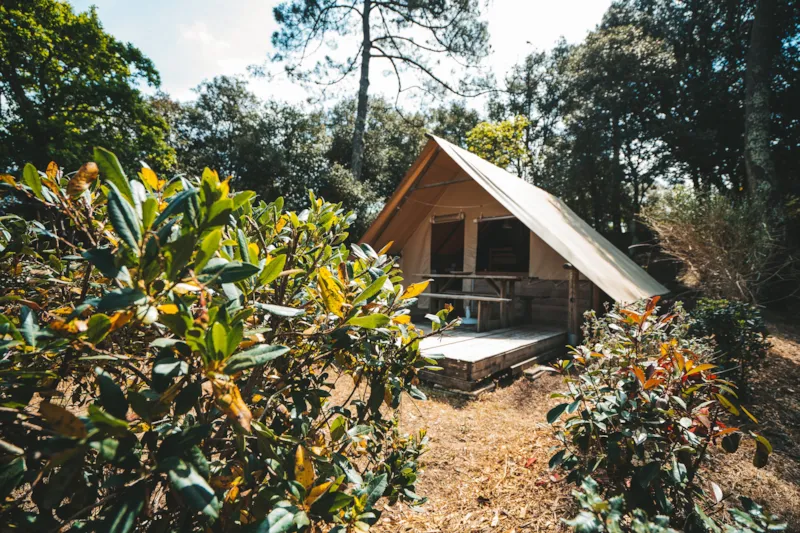 Cabane Confort Amazone 2 Chambres & Terrasse Découverte - 24 M²