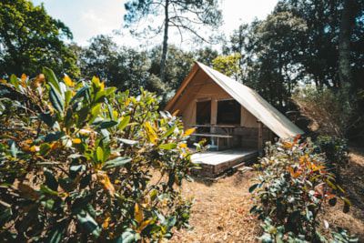Wooden cabin AMAZONE - 2 Bedrooms - No bathroom - Terrace - 24 m²