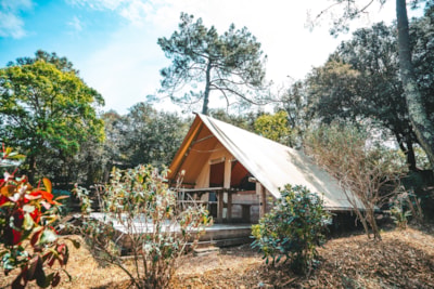 Wooden cabin AMAZONE - 2 Bedrooms - No bathroom - Terrace - 24 m²