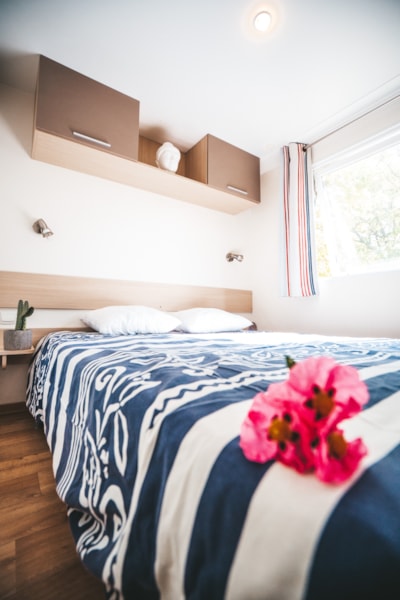 Mobil-home  EDEN+ 3 Bedrooms and terrace - 34m² - dishwasher
