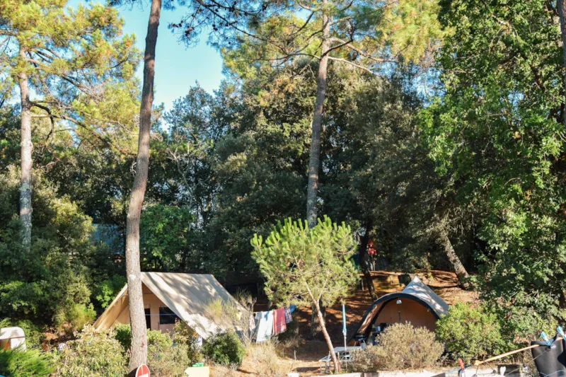Forfait Confort + (1 Tente Ou Caravane / Électricité 6A)
