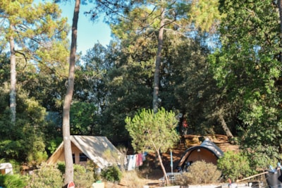 CONFORT + package (1 tent or caravan / 6A electricity)