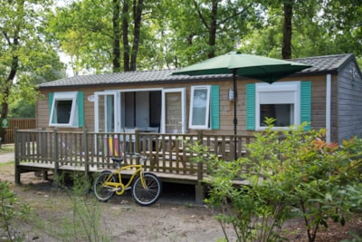 Mobile home EDEN 38 m² - 3 bedrooms - 2 bathrooms - open terrace