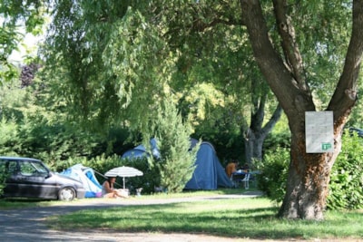 Camper pitch/electricity — 5