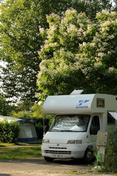 Camper pitch/electricity — 2