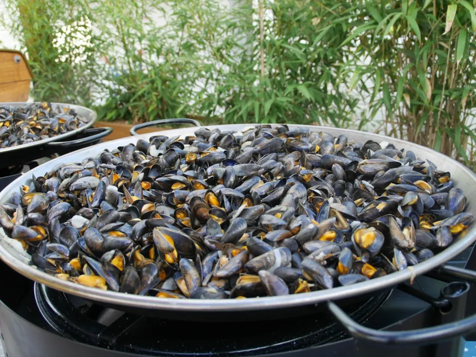 Camping de la Gères