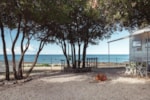Piazzola Premium Piazzola Premium