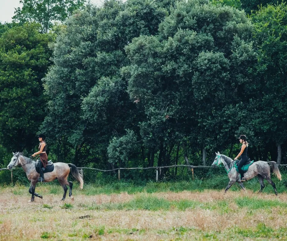 Camping Mon Perin - image n°31 - UniversalBooking