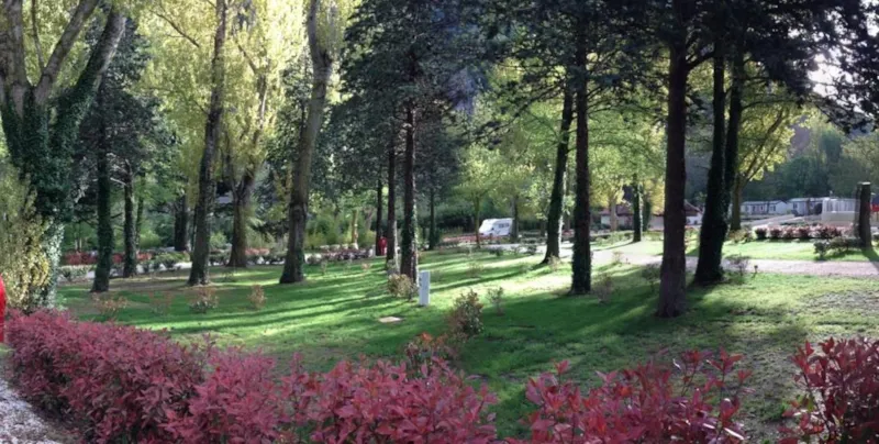 Forfait Confort 1 Pers.