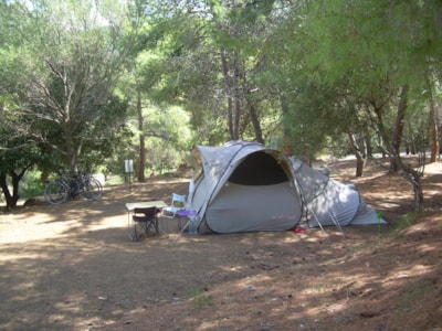 Nature Package (1 tent, caravan or motor home / 1 car)