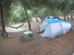 Kampeerplaats(en) - Natuurpakket (1 Tent, Caravan Of Camper / 1 Auto) - Flower Camping Torraccia