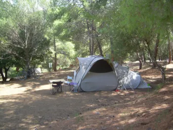 Stellplatz - Stellplatz Komfort (1 Zelt, Wohnwagen, Wohnmobil / 1 Auto + Strom) - Flower Camping Torraccia
