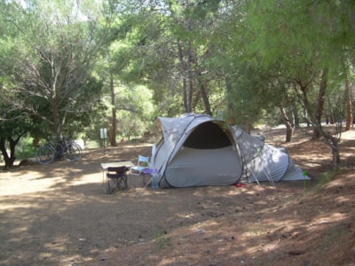 Comfort Package (1 tent, caravan or motor home / 1 car + electricity)