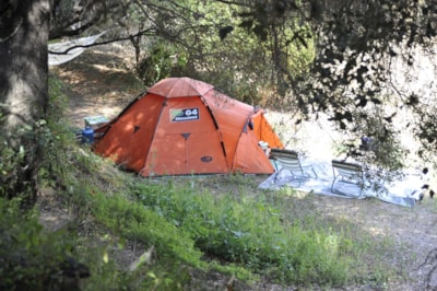 Comfort Package (1 tent, caravan or motor home / 1 car + electricity)