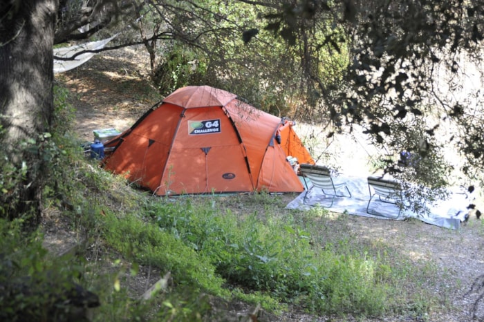 Forfait Confort (1 Tente, Caravane Ou Camping-Car / 1 Voiture + Électricité)