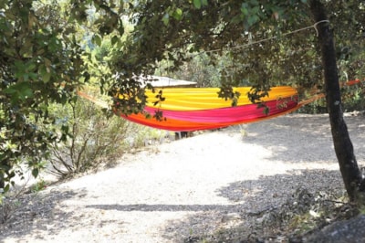 CAMPING TORRACCIA