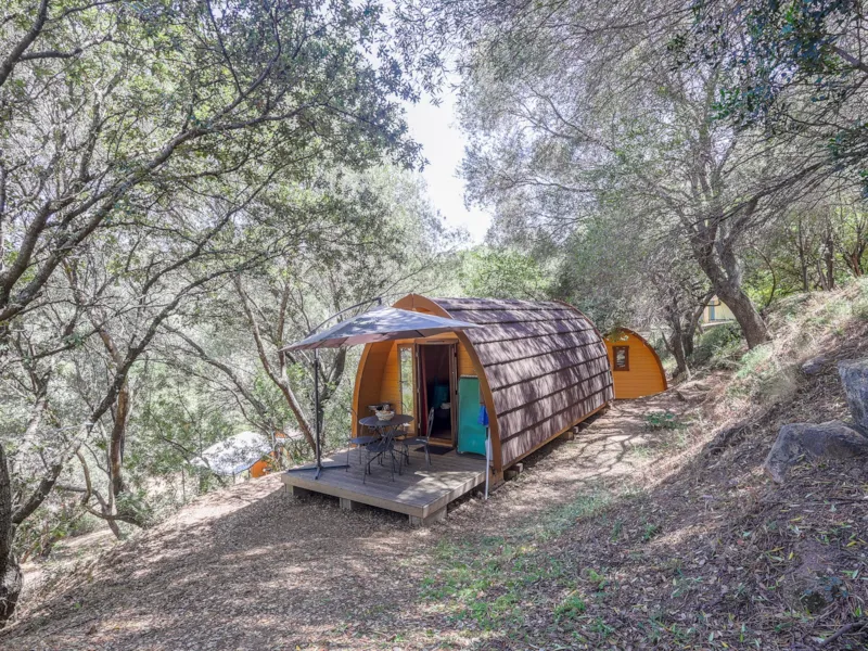 Chalet Insolite 19M² (1 Chambre ) -  Sans Sanitaire + Clim (M/D)