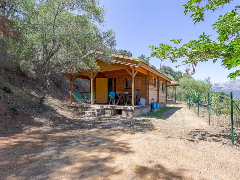 Chalet Bois Nature Confort 25M² Avec Clim ( S )