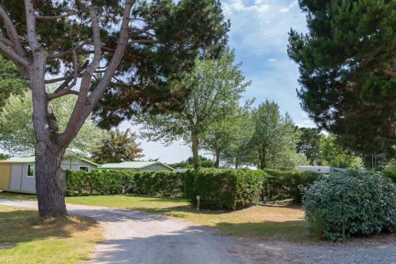 Forfait Rando-Cyclo Sans Électricité