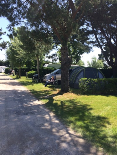 Standard pitch + 1 vehicle + electricity — 2