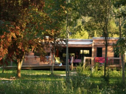 Mietunterkunft - Cottage Premium 50M² (2 Zimmer) + Terrasse - 2 Badezimmer - CosyCamp