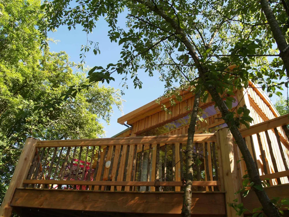 Tree house Premium 24m² (2 bedrooms) + terrace