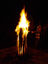 Foto #26 van CosyCamp