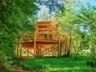 Tree house Premium 24m² (2 bedrooms) + terrace