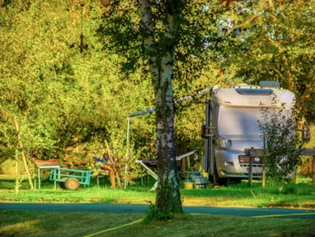 Stellplatz - 200M² Privilege Stellplatz - 2 Personen Mit Strom - CosyCamp