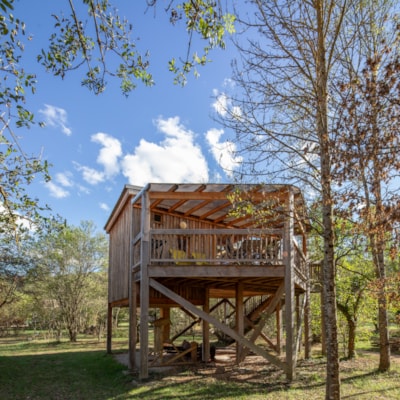 Tree house Premium 24m² (2 bedrooms) + terrace