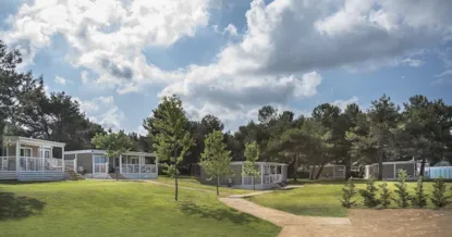 Lodge Deluxe Sea View