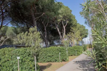 Stellplatz - Stellplatz Standard - Village Club Costa d'Argento