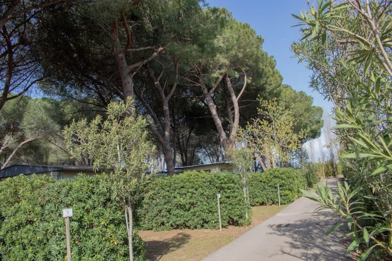 Emplacement Standard